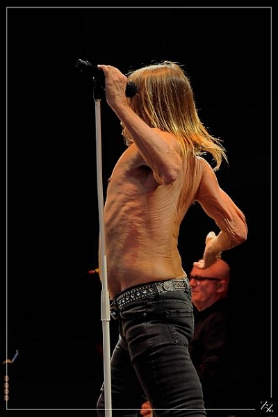 P7290515 (2) Iggy Pop 29-07-2016 Zz (p).jpg